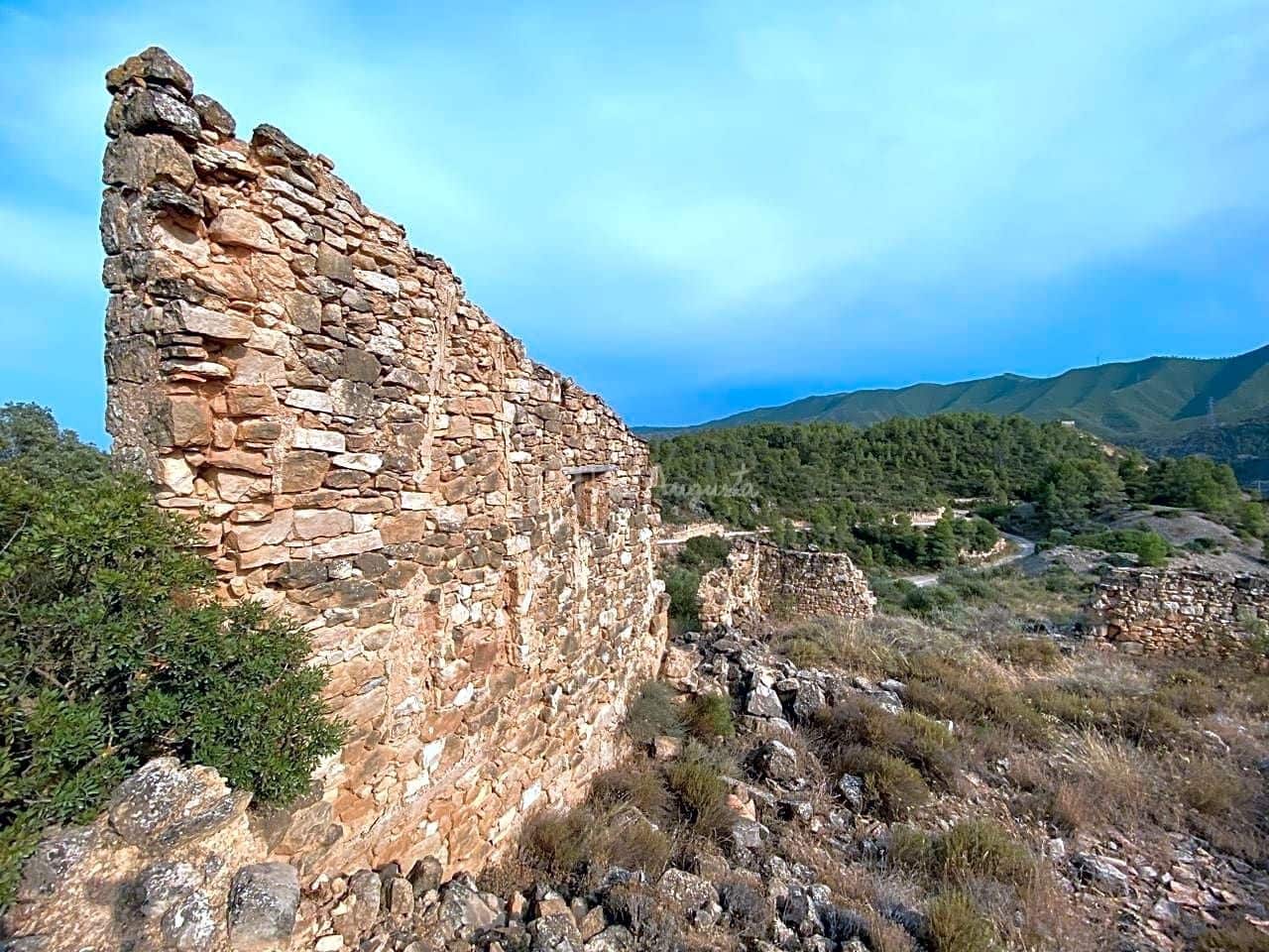 Grunde uden byggetilladelser til salg i Riba-roja d'Ebre - € 70.000 (Ref: 6905978)