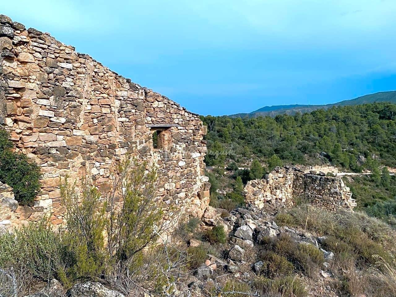 Grunde uden byggetilladelser til salg i Riba-roja d'Ebre - € 70.000 (Ref: 6905978)