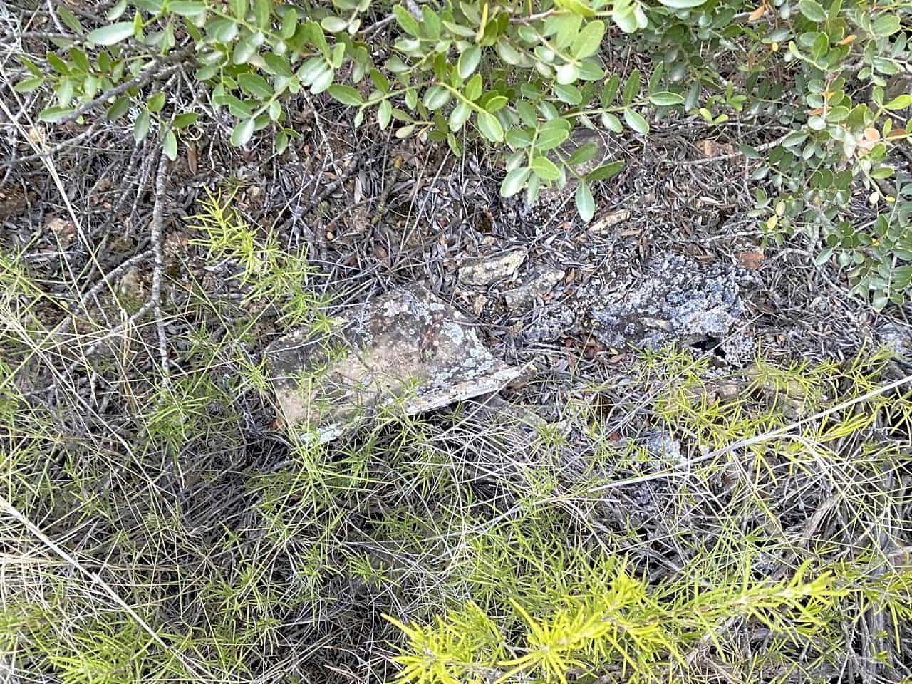 Grunde uden byggetilladelser til salg i Riba-roja d'Ebre - € 70.000 (Ref: 6905978)