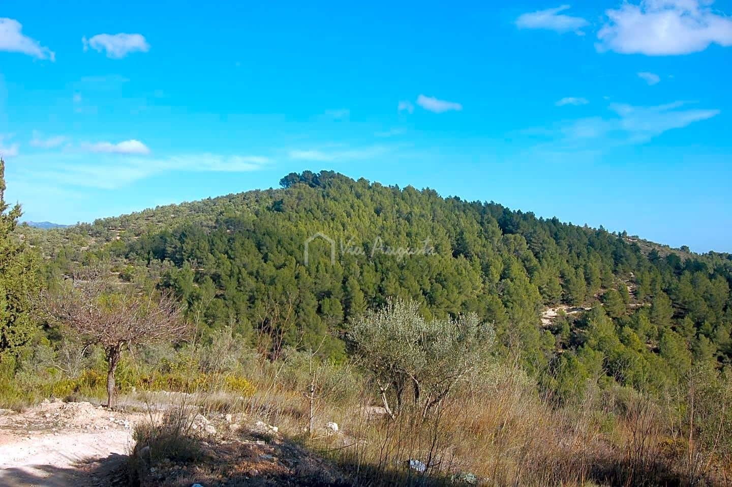 Grunde uden byggetilladelser til salg i El Perello - € 47.000 (Ref: 6908924)