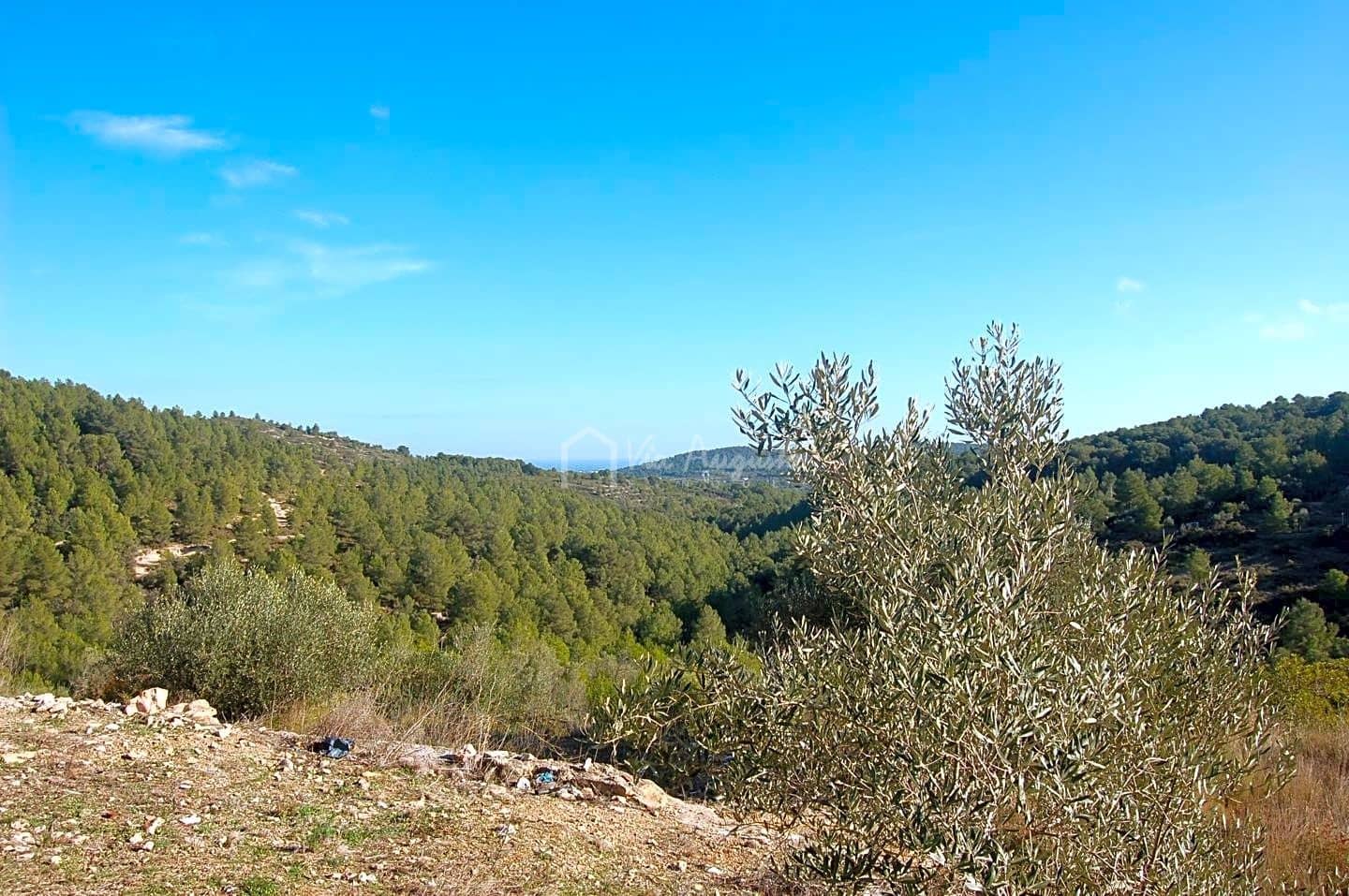 Grunde uden byggetilladelser til salg i El Perello - € 47.000 (Ref: 6908924)