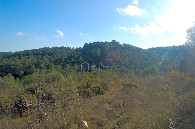 Grunde uden byggetilladelser til salg i El Perelló - € 47.000 (Ref: 6908924)