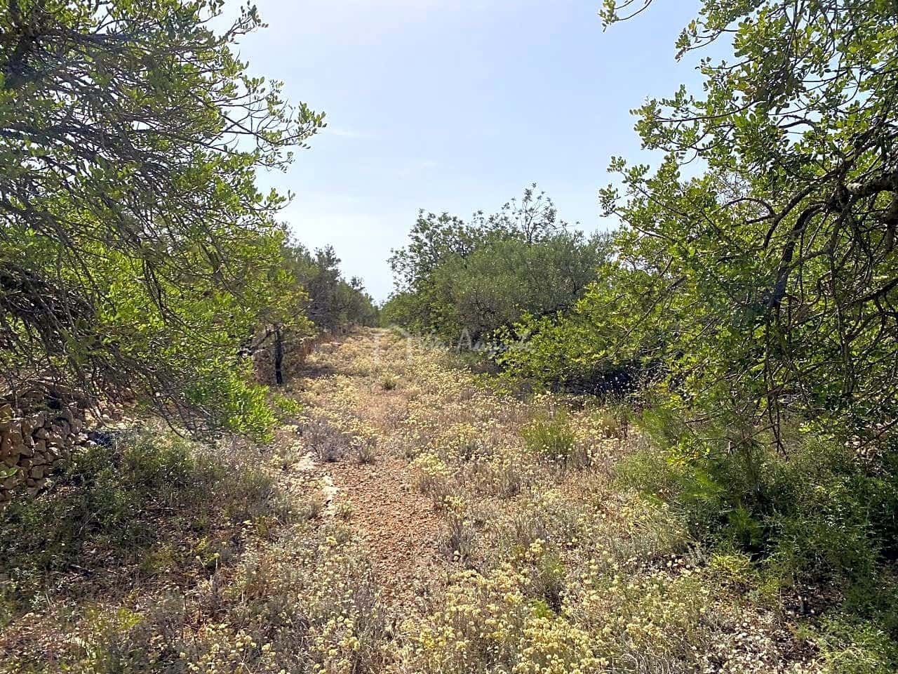 Terre non Aménagée à vendre à El Perello - 60 000 € (Ref: 6922961)