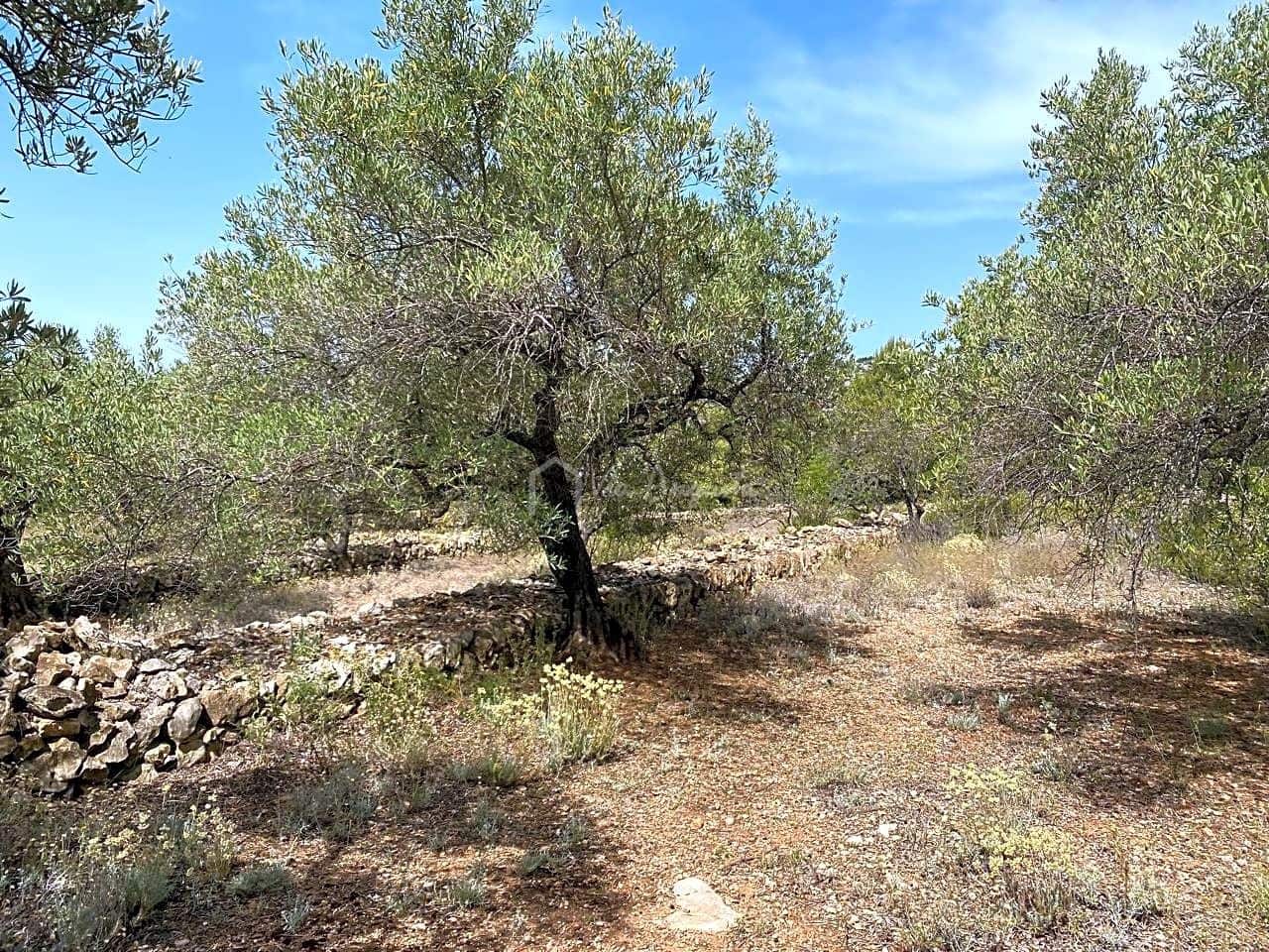 Terre non Aménagée à vendre à El Perello - 60 000 € (Ref: 6922961)