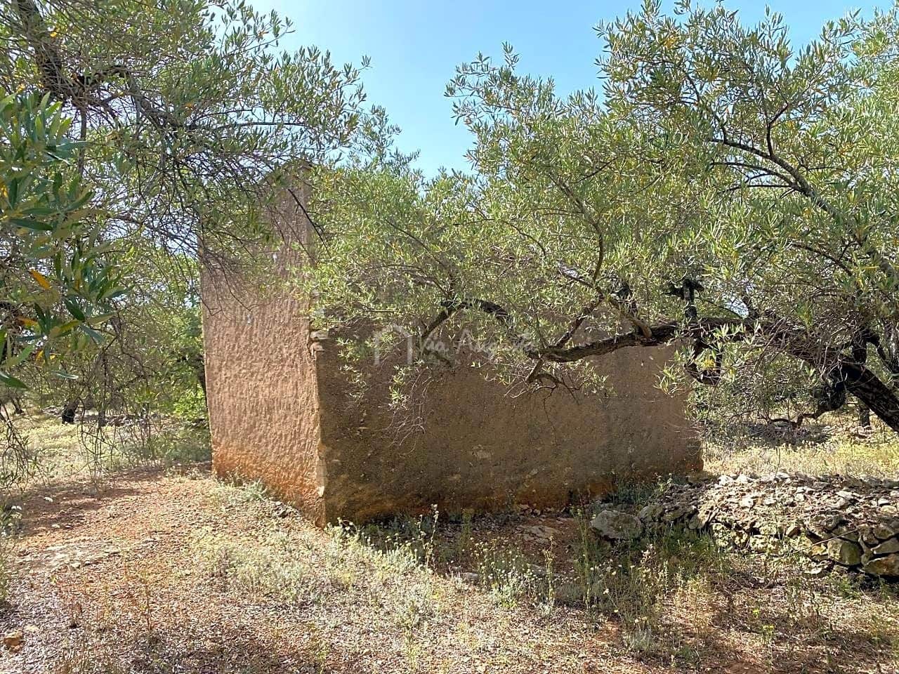 Terre non Aménagée à vendre à El Perello - 60 000 € (Ref: 6922961)