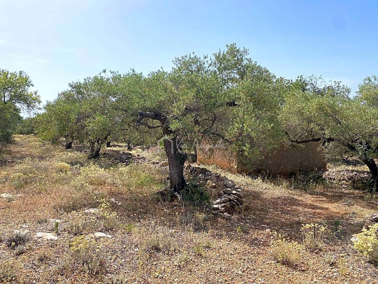 Terre non Aménagée à vendre à El Perello - 60 000 € (Ref: 6922961)