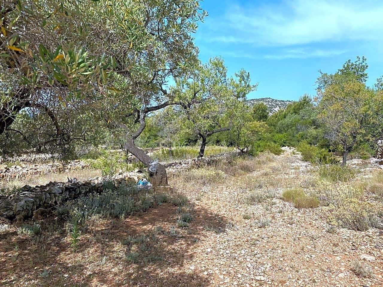 Terre non Aménagée à vendre à El Perello - 60 000 € (Ref: 6922961)