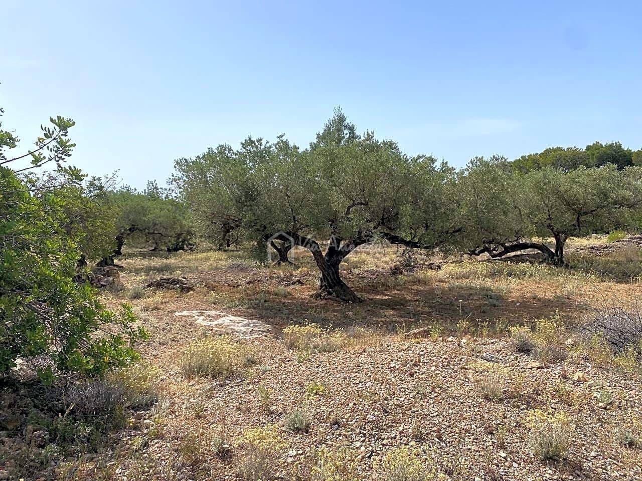 Terre non Aménagée à vendre à El Perello - 60 000 € (Ref: 6922961)