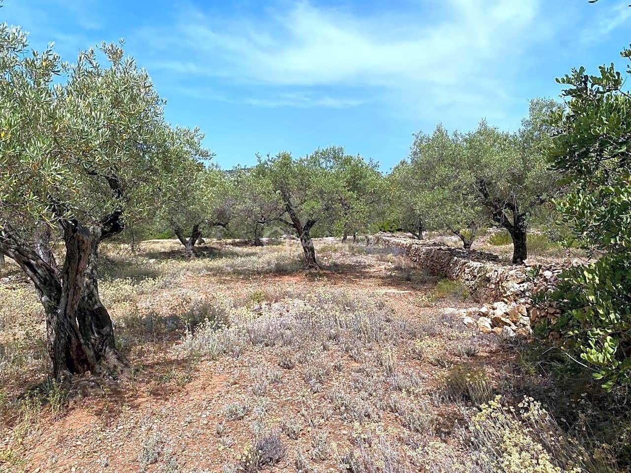 Terre non Aménagée à vendre à El Perello - 60 000 € (Ref: 6922961)