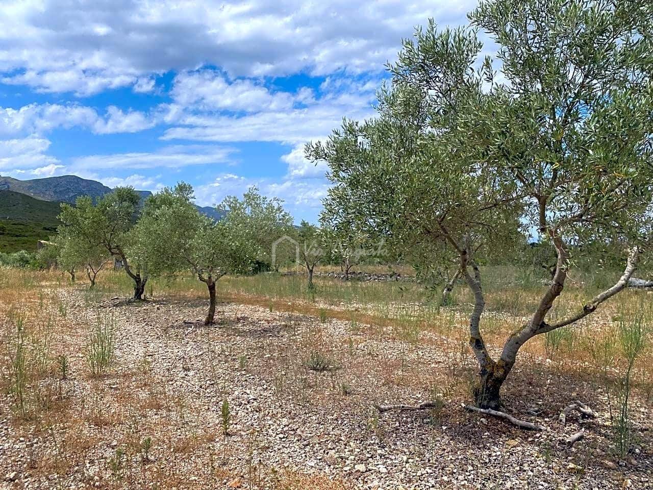 Grond te koop in El Perello - € 50.000 (Ref: 6944927)