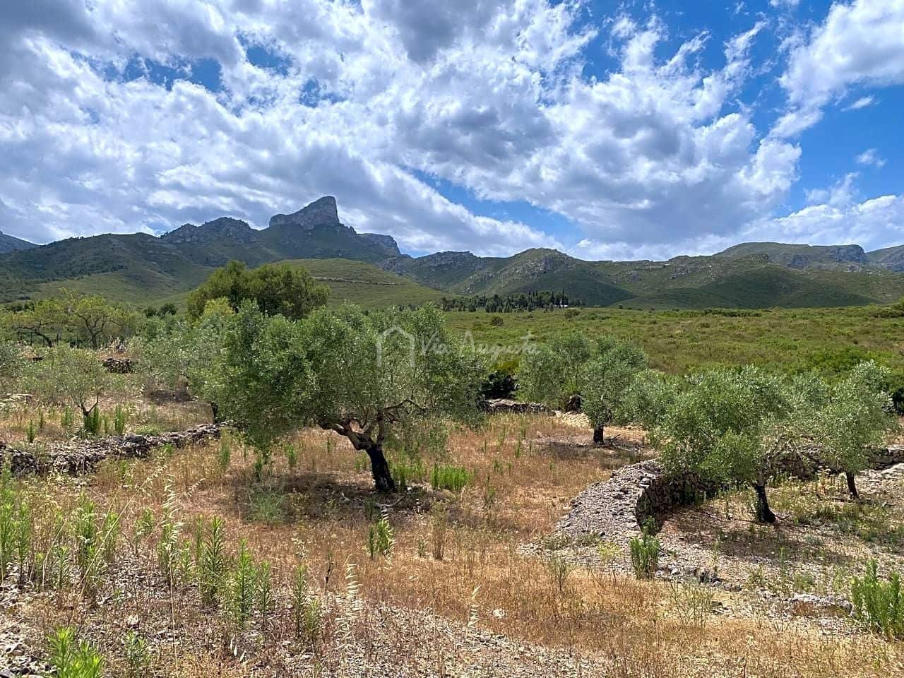 Grond te koop in El Perello - € 50.000 (Ref: 6944927)