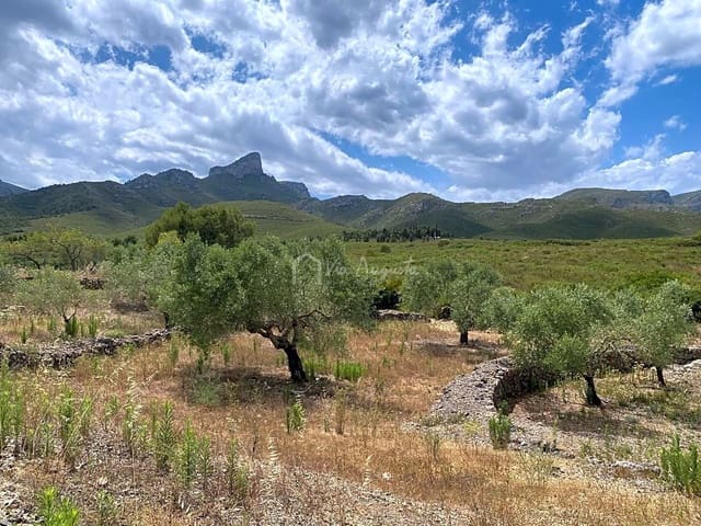 Mark till salu i El Perelló - 50 000 € (Ref: 6944927)