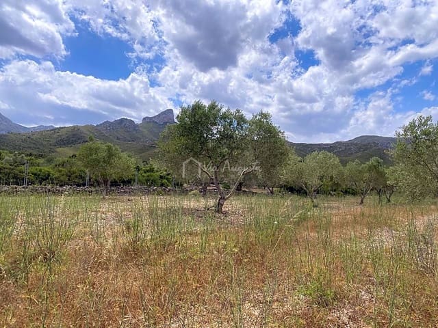 Mark till salu i El Perelló - 50 000 € (Ref: 6944927)