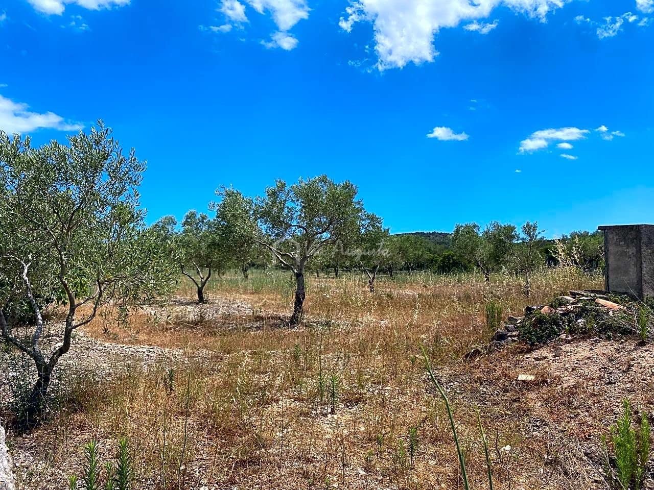 Grond te koop in El Perello - € 50.000 (Ref: 6944927)