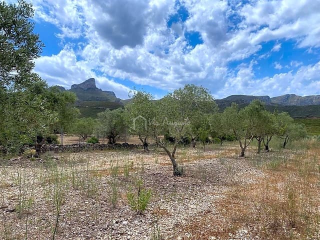 Mark till salu i El Perelló - 50 000 € (Ref: 6944927)