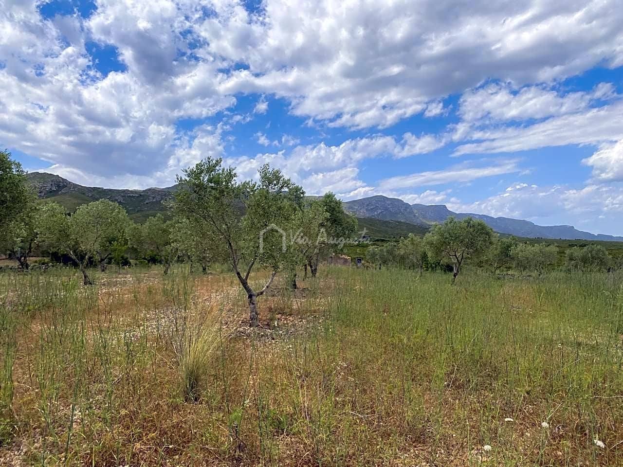 Grond te koop in El Perello - € 50.000 (Ref: 6944927)