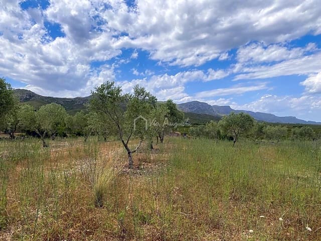 Mark till salu i El Perelló - 50 000 € (Ref: 6944927)