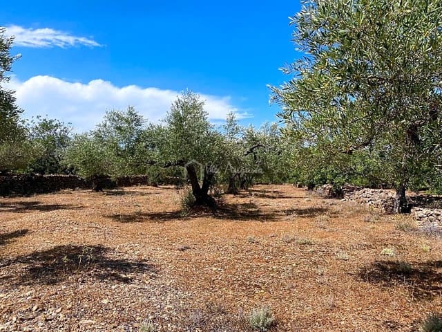 Undeveloped Land for sale in El Perelló - € 25,000 (Ref: 6951998)