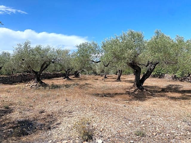 Undeveloped Land for sale in El Perelló - € 25,000 (Ref: 6951998)