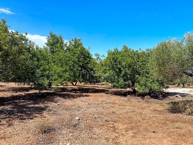 Undeveloped Land for sale in El Perelló - € 25,000 (Ref: 6951998)