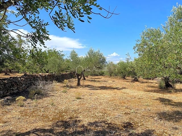 Undeveloped Land for sale in El Perelló - € 25,000 (Ref: 6951998)
