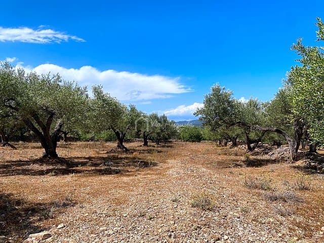 Undeveloped Land for sale in El Perelló - € 25,000 (Ref: 6951998)
