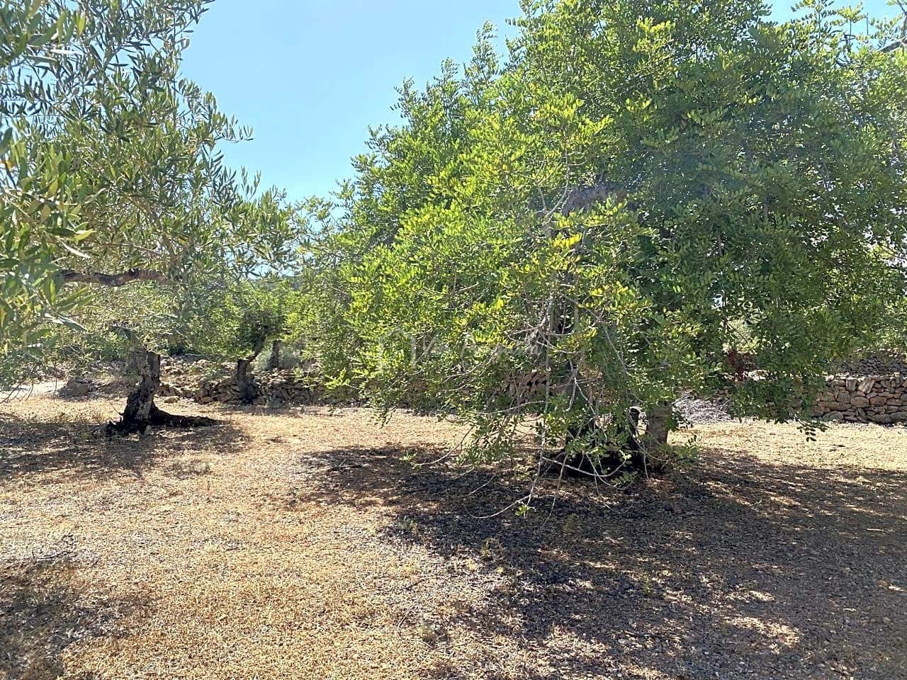 Teren niezagospodarowany na sprzedaż w El Perello - 25 000 € (Ref: 6951998)