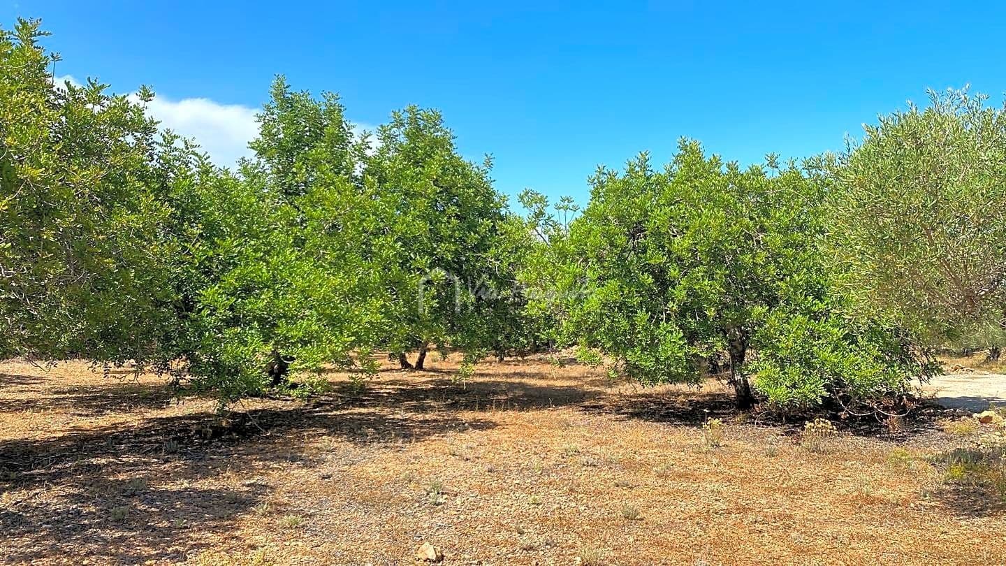 Teren niezagospodarowany na sprzedaż w El Perello - 25 000 € (Ref: 6951998)