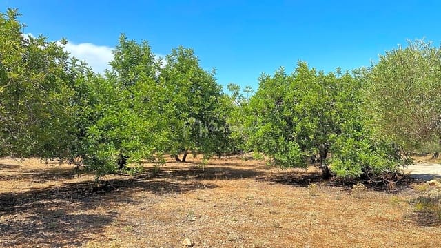 Undeveloped Land for sale in El Perelló - € 25,000 (Ref: 6951998)