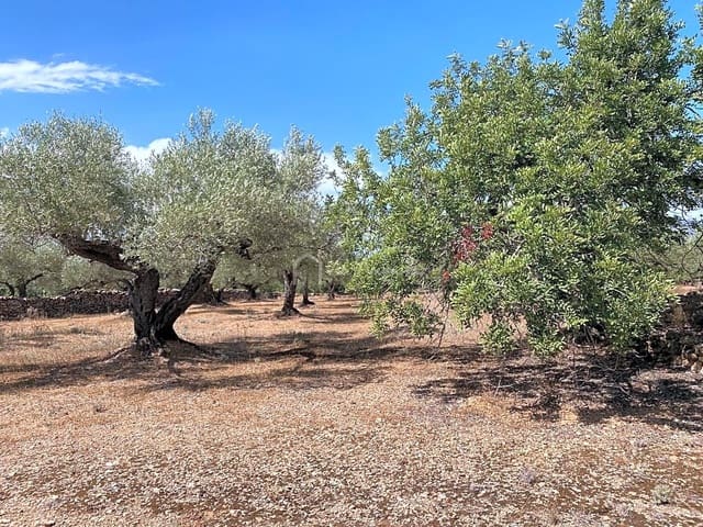 Undeveloped Land for sale in El Perelló - € 25,000 (Ref: 6951998)