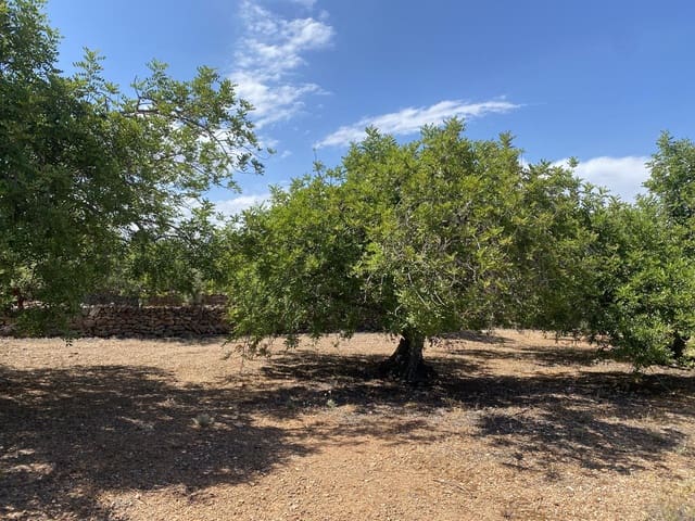 Mark till salu i El Perelló - 25 000 € (Ref: 6951998)