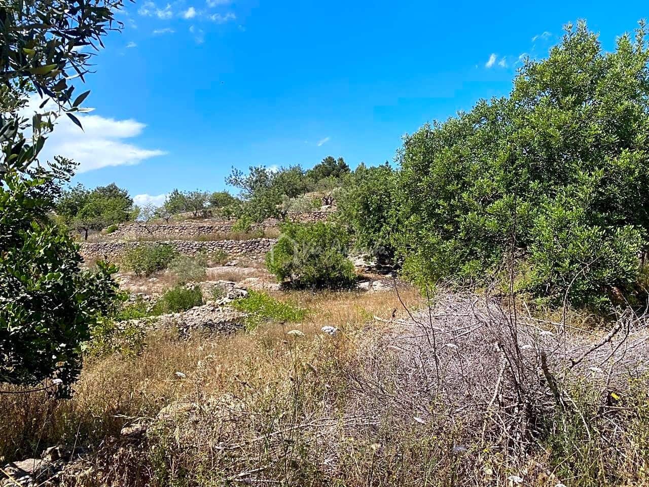 Undeveloped Land for sale in El Perello - € 65,000 (Ref: 6951999)