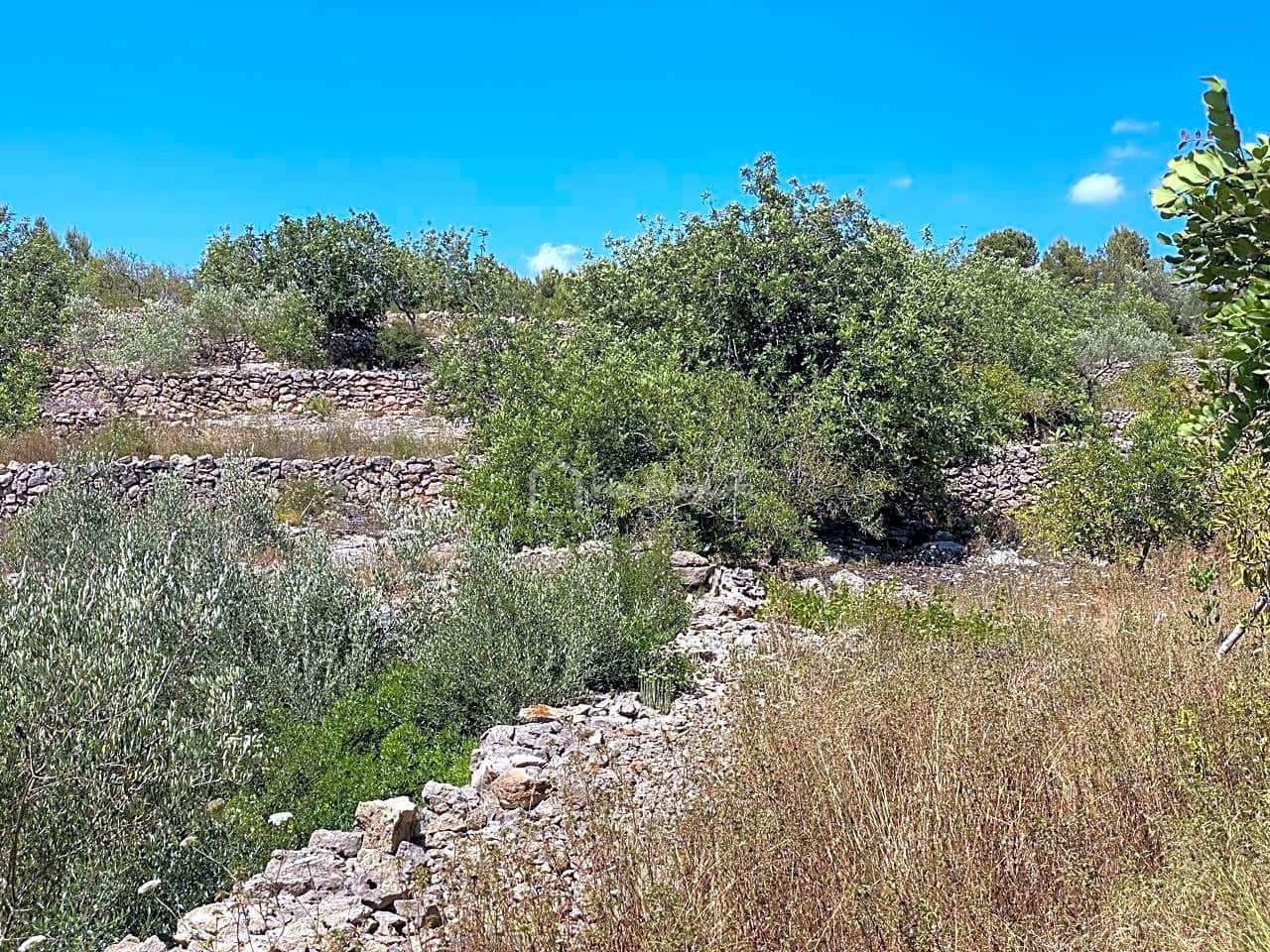 Undeveloped Land for sale in El Perello - € 65,000 (Ref: 6951999)