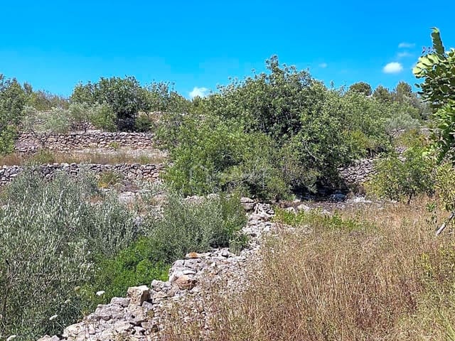 Undeveloped Land for sale in El Perelló - € 65,000 (Ref: 6951999)