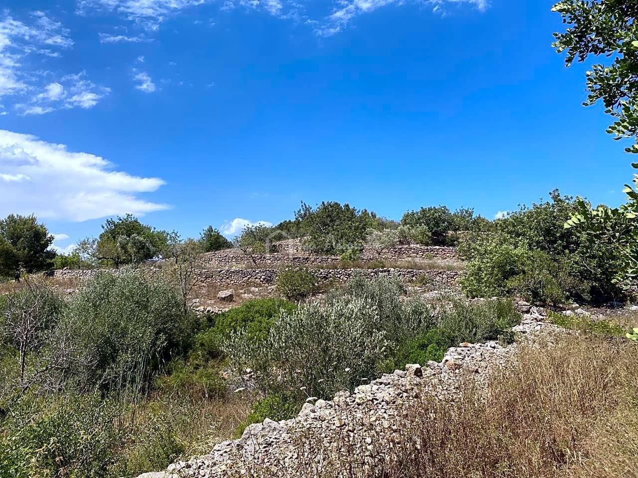 Undeveloped Land for sale in El Perello - € 65,000 (Ref: 6951999)