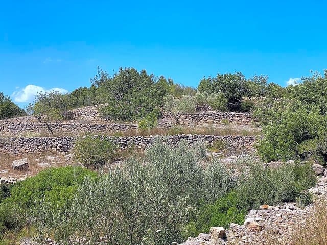Undeveloped Land for sale in El Perelló - € 65,000 (Ref: 6951999)