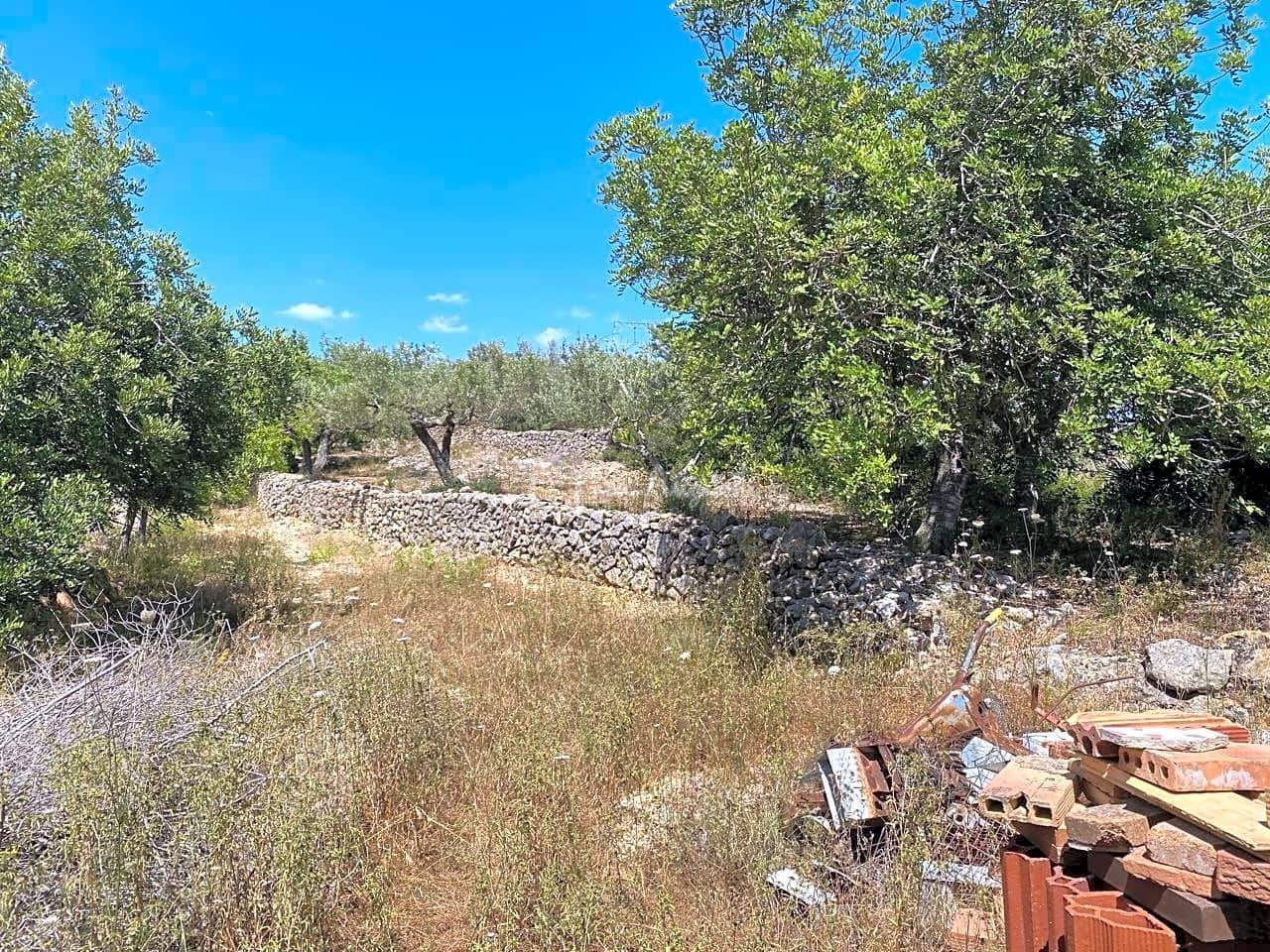 Undeveloped Land for sale in El Perello - € 65,000 (Ref: 6951999)