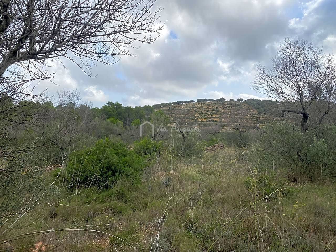 Grond te koop in El Perello - € 45.000 (Ref: 7180932)