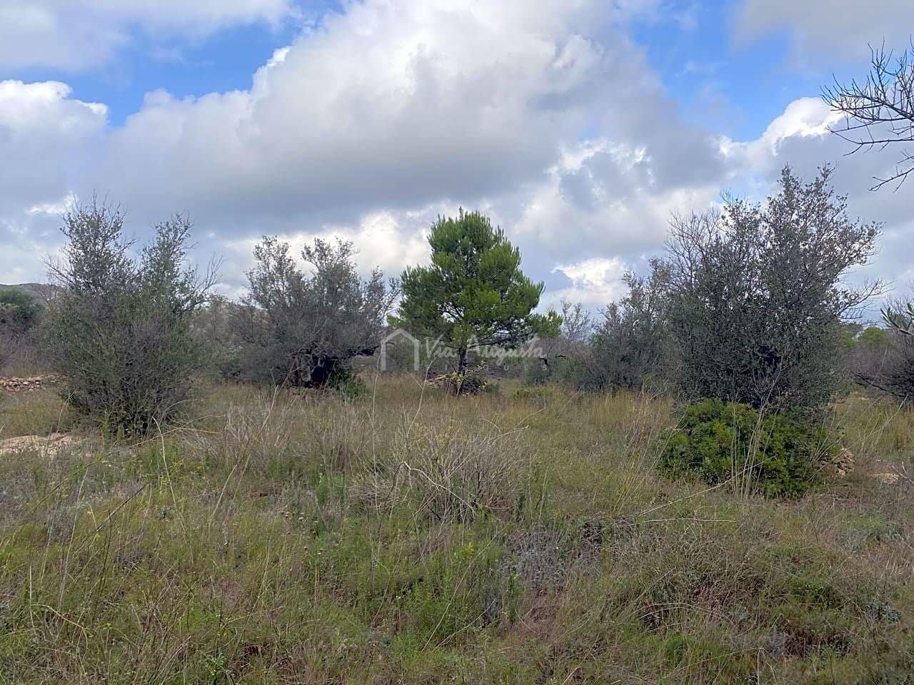 Grond te koop in El Perello - € 45.000 (Ref: 7180932)