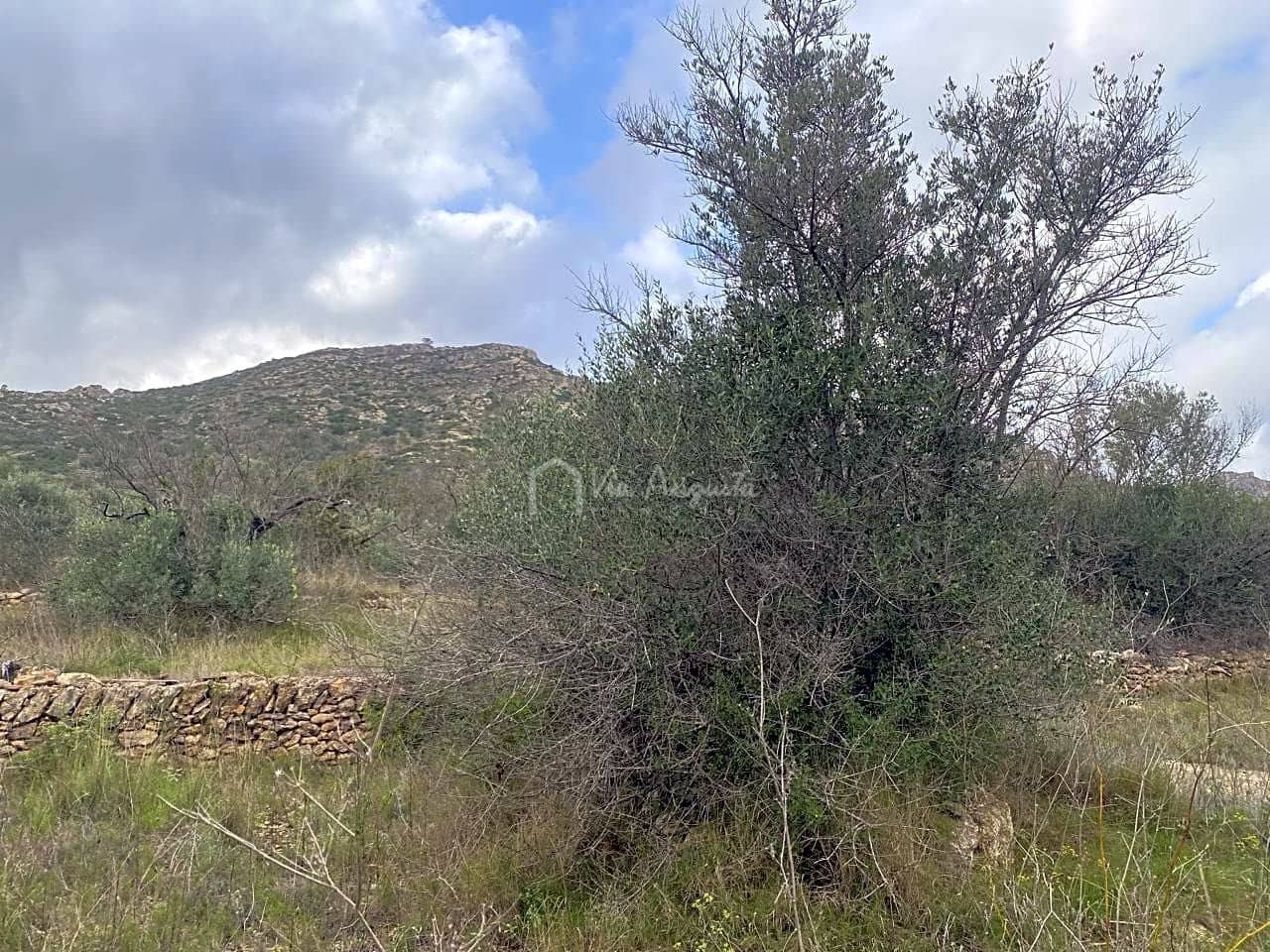 Grond te koop in El Perello - € 45.000 (Ref: 7180932)