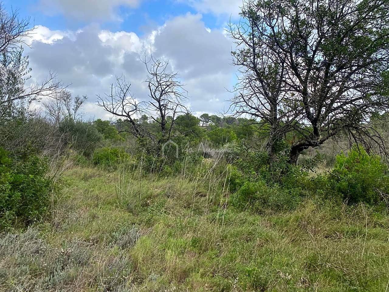 Grond te koop in El Perello - € 45.000 (Ref: 7180932)