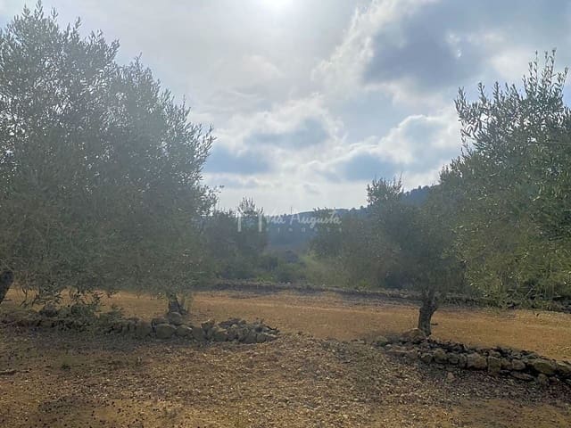 Terre non Aménagée à vendre à El Perelló - 30 000 € (Ref: 7187187)