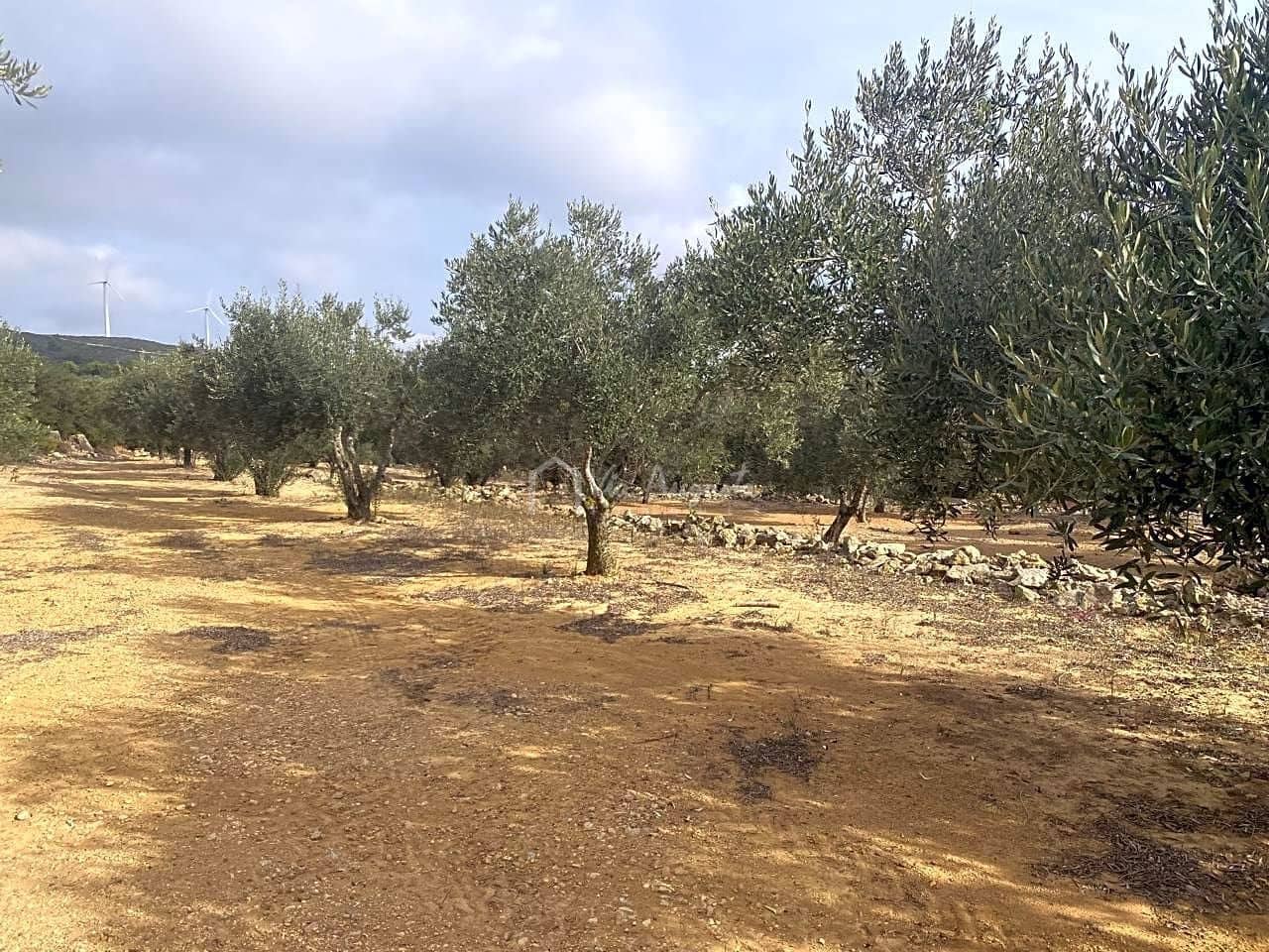 Terre non Aménagée à vendre à El Perello - 30 000 € (Ref: 7187187)