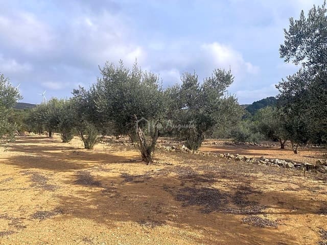 Terre non Aménagée à vendre à El Perelló - 30 000 € (Ref: 7187187)