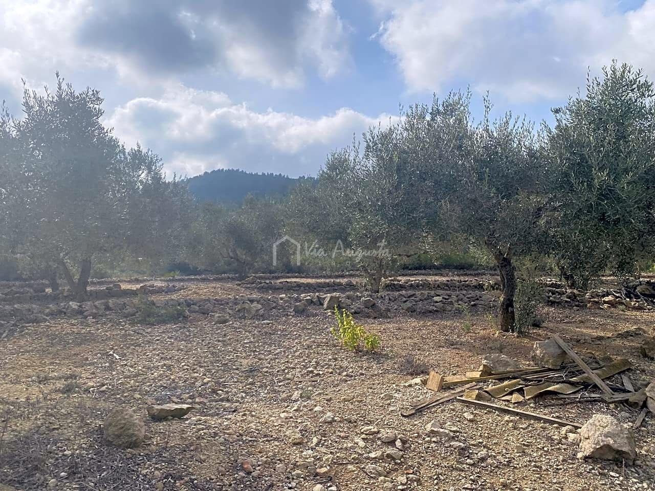 Terre non Aménagée à vendre à El Perello - 30 000 € (Ref: 7187187)