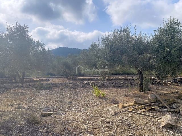 Terre non Aménagée à vendre à El Perelló - 30 000 € (Ref: 7187187)