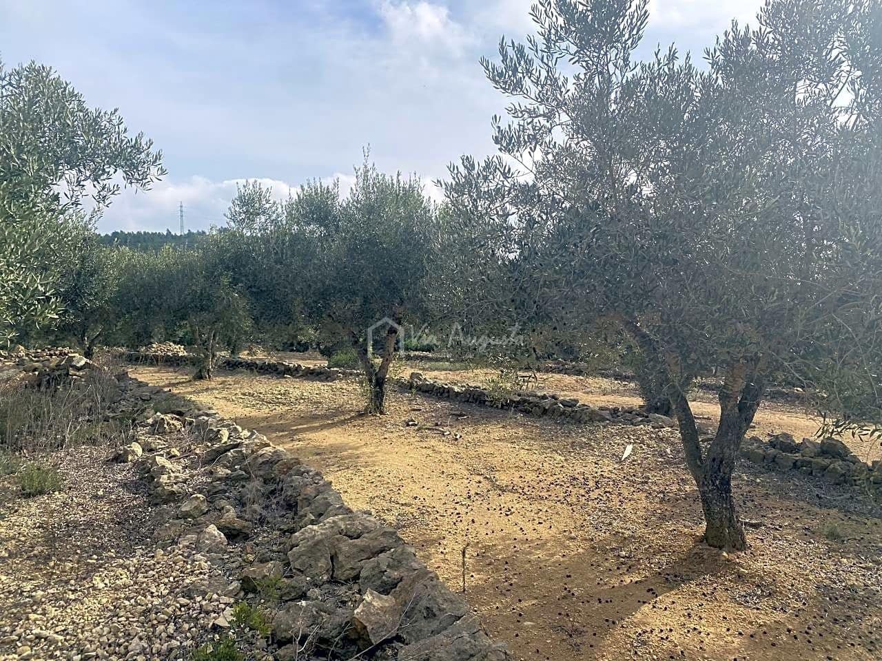 Terre non Aménagée à vendre à El Perello - 30 000 € (Ref: 7187187)