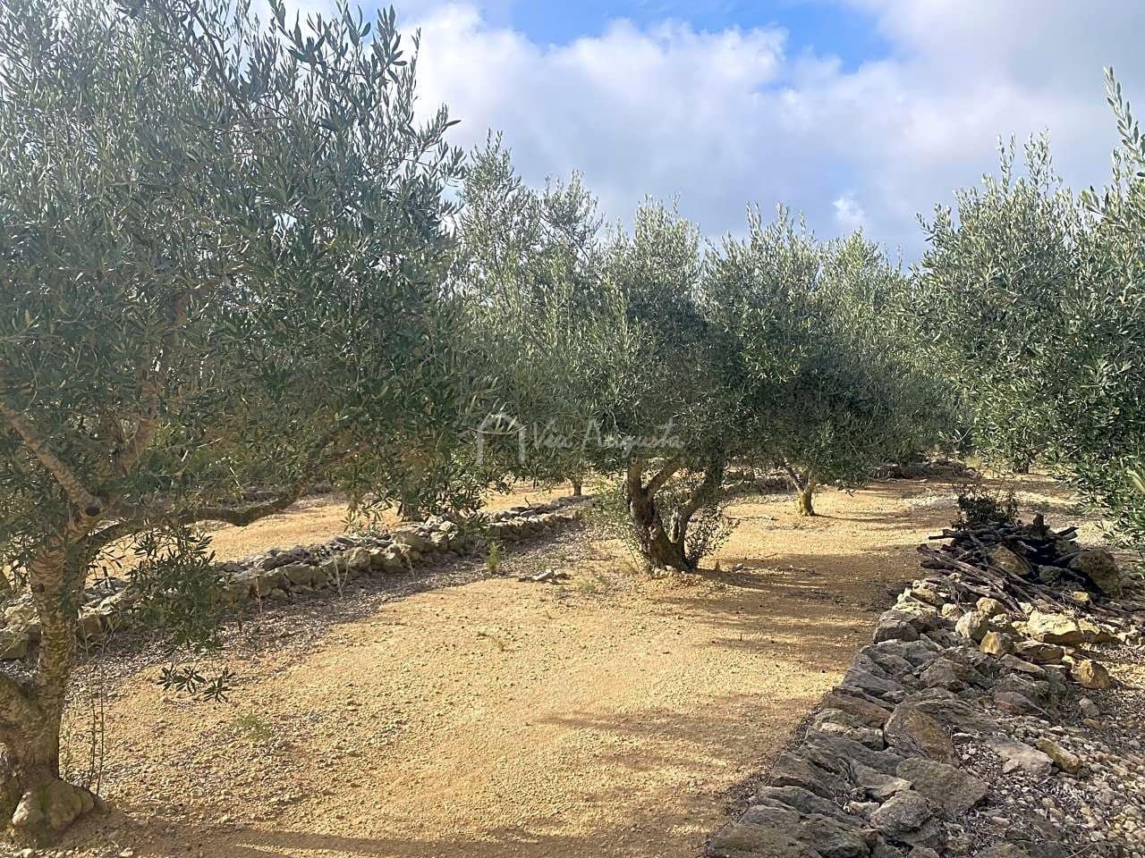 Terre non Aménagée à vendre à El Perello - 30 000 € (Ref: 7187187)