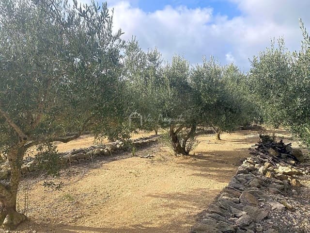 Terre non Aménagée à vendre à El Perelló - 30 000 € (Ref: 7187187)