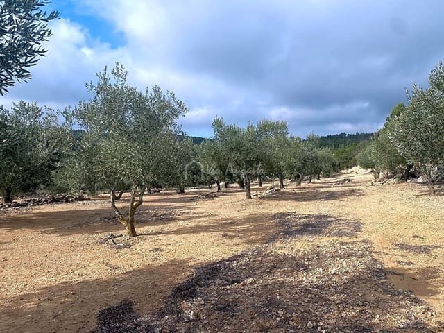 Terre non Aménagée à vendre à El Perelló - 30 000 € (Ref: 7187187)